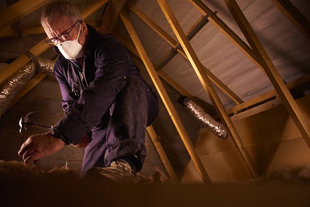 Best Insulation Maintenance and Repair in Crittenden, KY